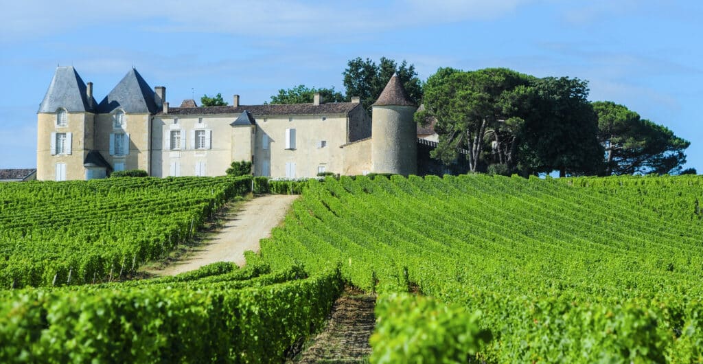 Château Yqem and its vineyards in Sauternes, France.
