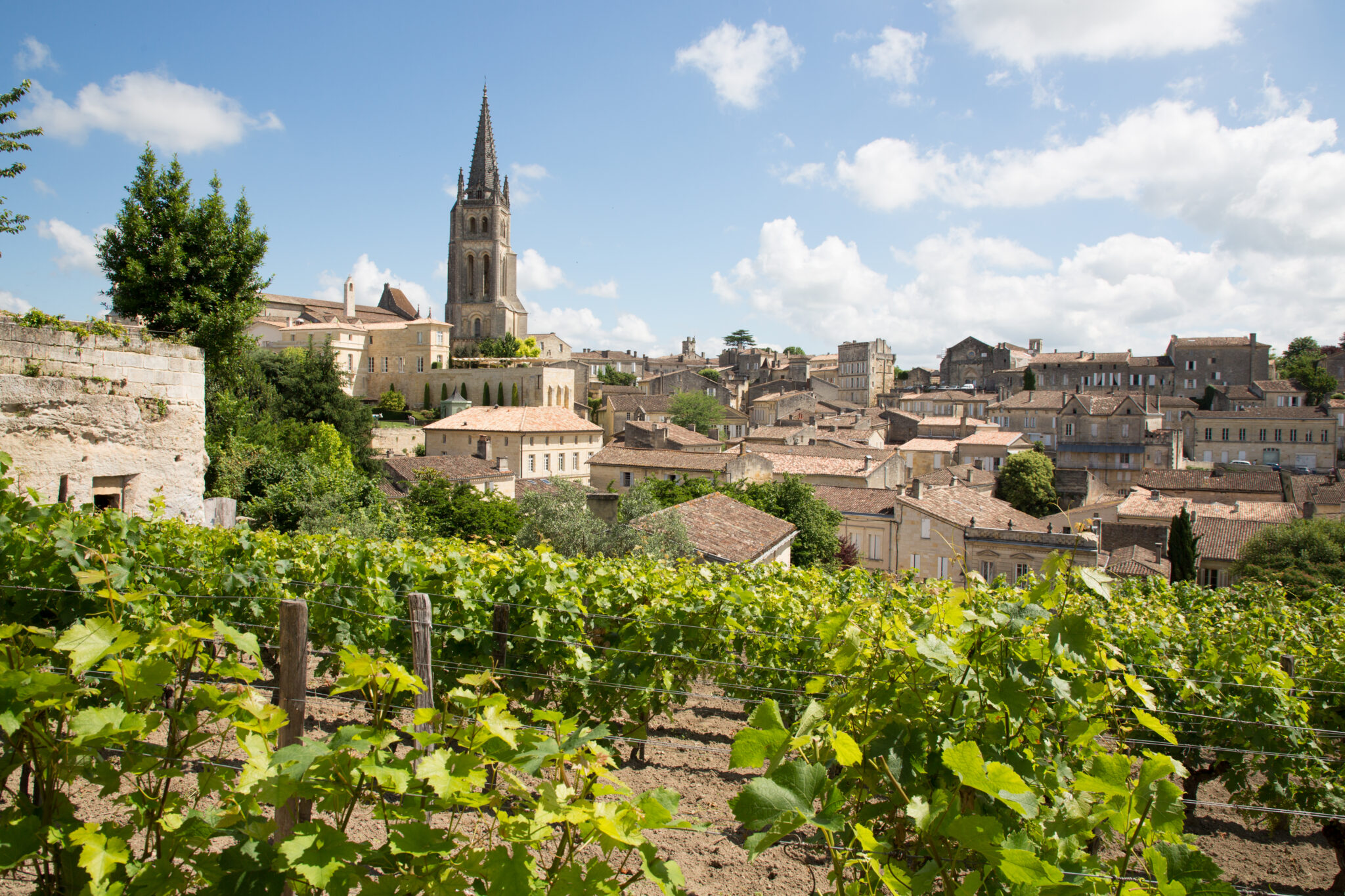 Saint-Emilion village and its vineyards in Bordeaux region, France