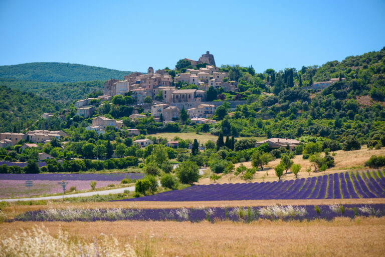 Lavender Fields in Saint-Saturnin-les-Apt in Provence