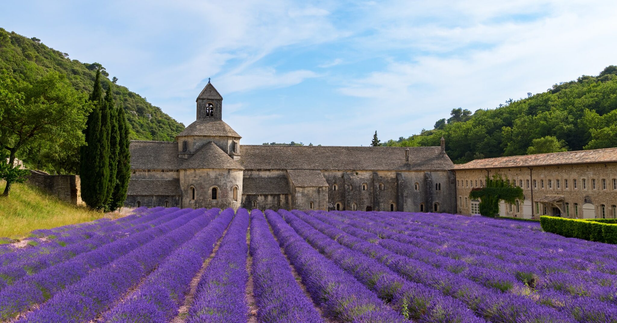 Senanque abbey with lavender fields in Lubéron, Provence region, France.