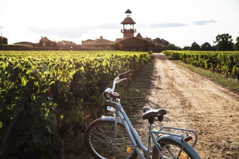 Les Sources de Caudalie - Bike Ride in the Vineyards